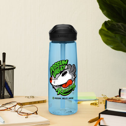 Sports water bottle